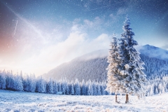 magical moment, snow covered trees. Winter landscape.