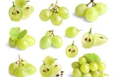 Set with fresh grapes on white background
