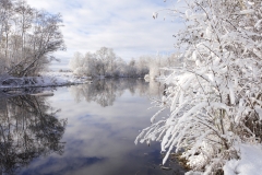 True winter wonderland with snow covered trees on a river bank in Estonian countryside, Europe