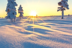 Beautiful winter landscape with snow-covered trees in Lapland