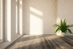 plant near in the empty room