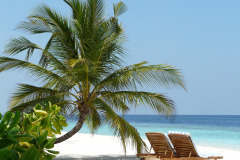 vacations-1017495_1920