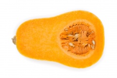 Butternut squash