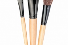 Makeup brushes