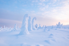 landscape with snow