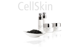 CellSkin_v1